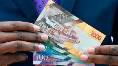 Kenya Shilling Stabilises Against US Dollar