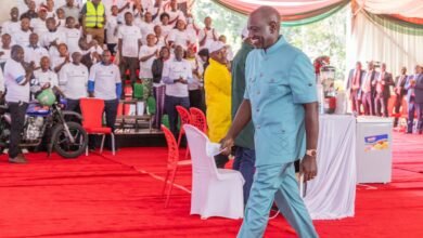 A Breakdown of How Kenyans Have Borrowed, Saved from Hustler Fund