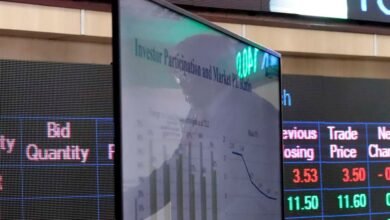 Analyzing the Kenyan Materials Industry: A Week of Ups and Downs