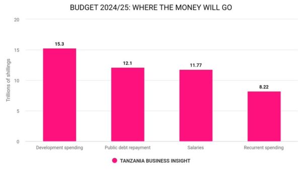 Development Projects Cost up 0.65% to $6.1 Billion in 2024 in Tanzania ...