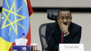 Ethiopian Stops Servicing its Eurobond a Year Ahead of Maturity; Why?