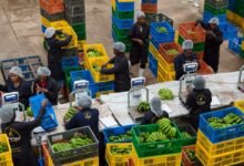 Twiga Foods, an agritech firm, acknowledged the challenges faced in 2023 and expressed regret for the difficulties that arose, placing both companies in a challenging position.