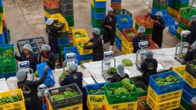 Twiga Foods, an agritech firm, acknowledged the challenges faced in 2023 and expressed regret for the difficulties that arose, placing both companies in a challenging position.