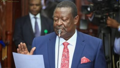 Kenya, Tanzania Agree to Resolve  Air Travel Restrictions