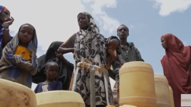 UNHCR Spokeswoman Calls for International Support to Horn of Africa amid Extreme Weather
