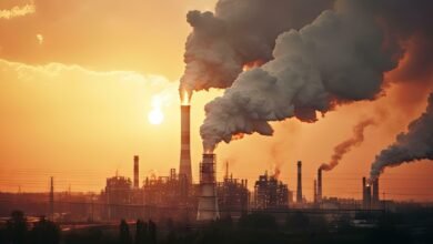 Octavia Carbon Secures Funding to Boost Carbon Capture Technology