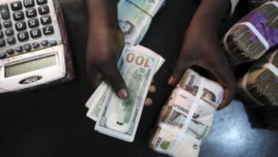 Nigeria Opens Up Forex Market to Tackle Naira Crisis