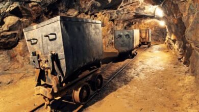 Niger Suspends Issuing New Mining Licenses 