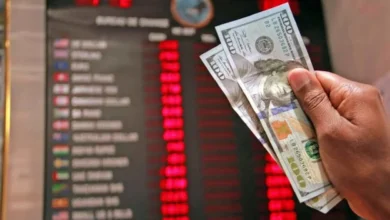 Shilling Exchange Rate Closes January Down 2% Against Dollar