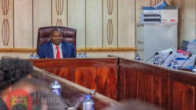 Kenya Contacts TikTok Over Data Infringement, Threat Among Minors