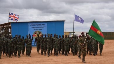 Somalia Receives £2.75 Million in Funding From UK