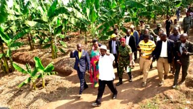 Uganda Doing Better Than Kenya Despite Low Fuel Cost; This is how