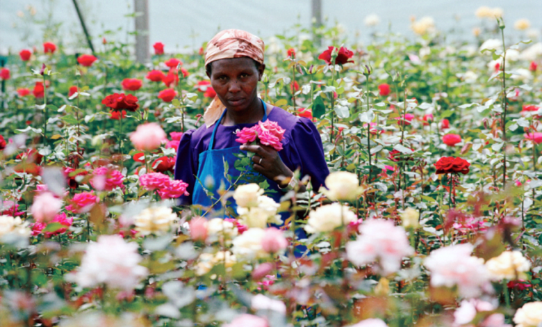 List of African Countries Set to Enjoy UK's Free Tarrif on Flower Export