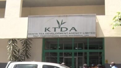 KTDA Inks Deal with Co-Op Bank, Eco.Business for Environment Governance Initiatives