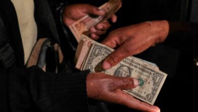 Central Banks Have Indeed Been Shifting Gradually Away From U.S Dollar