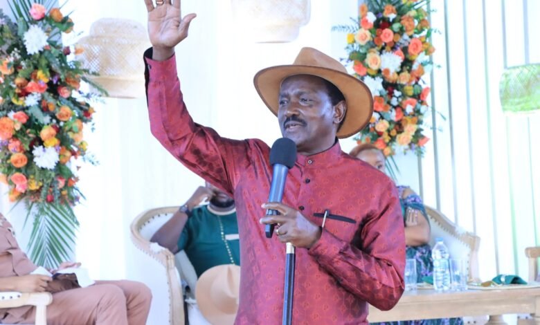 Wiper Leader Kalonzo Musyoka Criticizes 2024/25 Budget, Raises Concerns Over Alleged Funds Misappropriation