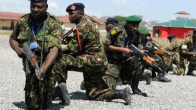 MPs Okay Deployment of Military Over Anti-Tax Protests