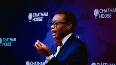 AfDB Wants Additional $25 Billion for Development