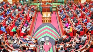 What it Means as Parliament Okays Pensions (Amendment) Bill, 2022