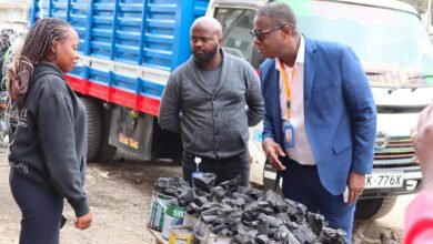 AfDB Sets Aside $2 Billion for Clean Cooking in Africa