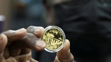 Zimbabwe Devalues Currency, Raises Interest Rates to Curb Inflation