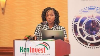 Kenya Eyes Eyes Nigeria for More African Visits in Tourism