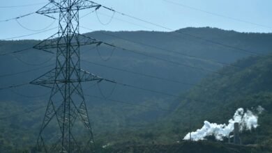 Nairobi-Based Flux Sells Africa’s First Carbon Dioxide Removal Credits