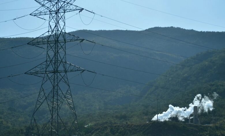 Nairobi-Based Flux Sells Africa’s First Carbon Dioxide Removal Credits