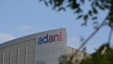 Adani Group Seeks to Invest $900 Million in Tanzania Power Lines