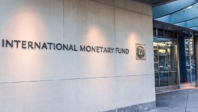 IMF Reaches Deal With Tanzania to Unlock $266 Million in Funding