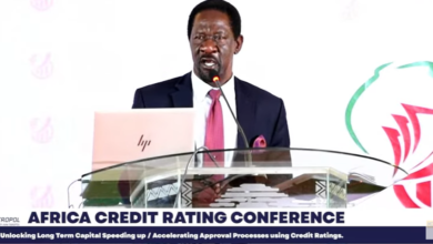Regulators and Experts push for Adoption of a Credit Rating culture