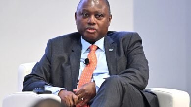 Ratings Bias Costs Africa Billions of Dollars, Says Standard Bank CEO