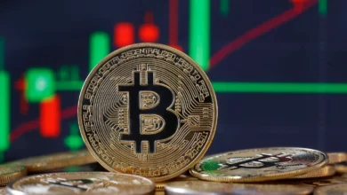 Bitcoin Hits Record $106,000 Amidst Optimism Over Trump’s Cryptocurrency Stance