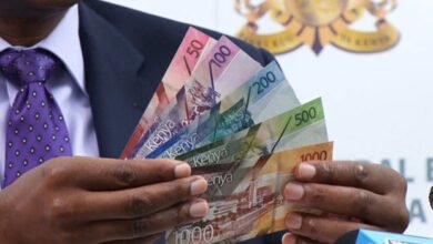 Kenya, Nigeria Dominate African Start-Up Funding with 76% Share in November