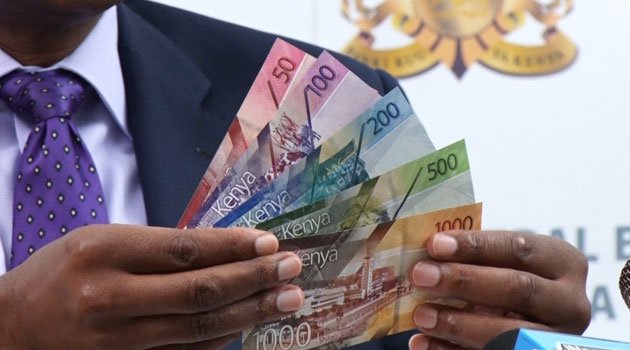 Kenya, Nigeria Dominate African Start-Up Funding with 76% Share in November