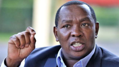 Ndiritu Muriithi Appointed as KRA Board Chair in Fresh State Appointments