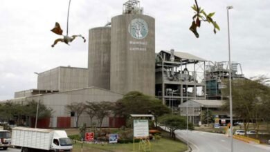 Tanzania’s Amsons Group Launches Ksh.23.6 Billion Bamburi Cement Buyout