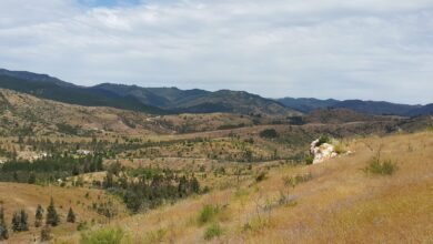 Montero Mining settles with Tanzania for $27 million