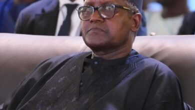 Dangote Tries 2nd Stab in Ethiopia With a $400 Million Investment in Cement