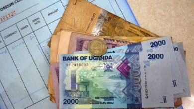 Ugandan Shilling Strengthens on Supported Offshore FX inflows