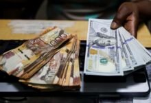 Kenya Shilling Holds Steady Against Dollar in Week to Thursday