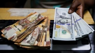 Kenya Shilling Holds Steady Against Dollar in Week to Thursday