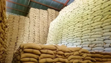 Government Releases 200,000 Bags of Maize to Millers to Curb Flour Prices
