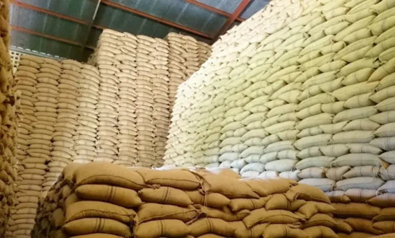 Government Releases 200,000 Bags of Maize to Millers to Curb Flour Prices