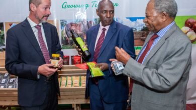 Kakuzi plans to Invest Over Ksh.1.2 billion in commercial, Social Impact Projects.