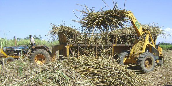 State Revives Sugar Board to Restore Investor Confidence in Ailing Sector