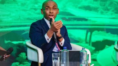 Safaricom Stock Rallies Despite Political Storm Over Data Surveillance Allegations