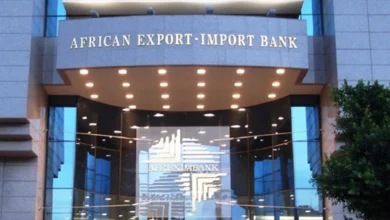 Chances Rise of Afreximbank Involvement in Debt Rework, says JPMorgan