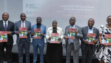 Kenya Challenged to Unlock Domestic Capital for Sustainability