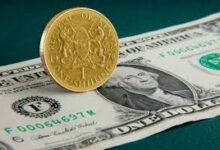 Kenya Shilling Up 128 Units in 28 Months Against Dollar